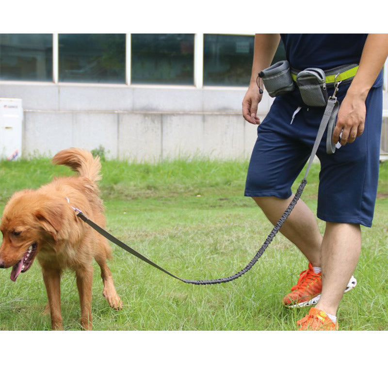 Jog With Your Dog - Fabulously Comfortable Hands Free Dog Leash - Best Pet Parcel