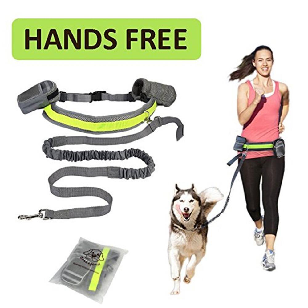 Jog With Your Dog - Fabulously Comfortable Hands Free Dog Leash - Best Pet Parcel