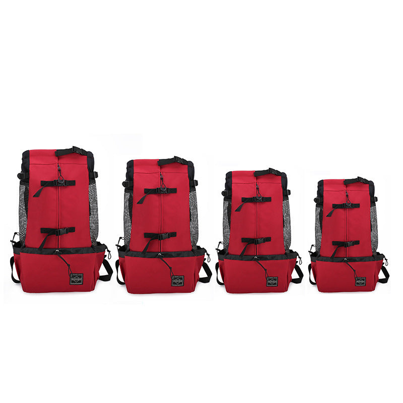 Brilliant Dog Backpack For Every Outing - Best Pet Parcel