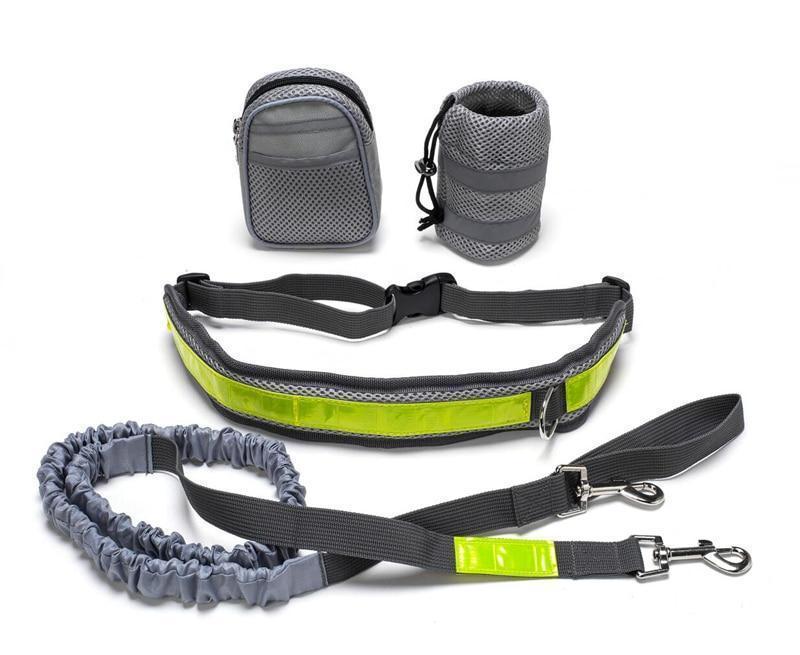 Jog With Your Dog - Fabulously Comfortable Hands Free Dog Leash - Best Pet Parcel