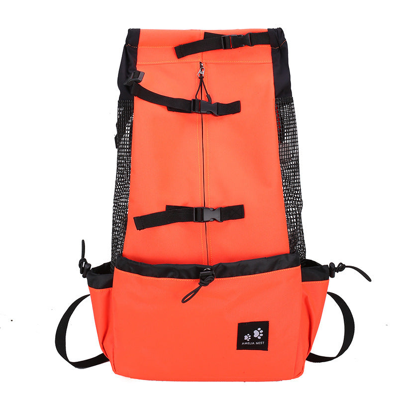 Brilliant Dog Backpack For Every Outing - Best Pet Parcel