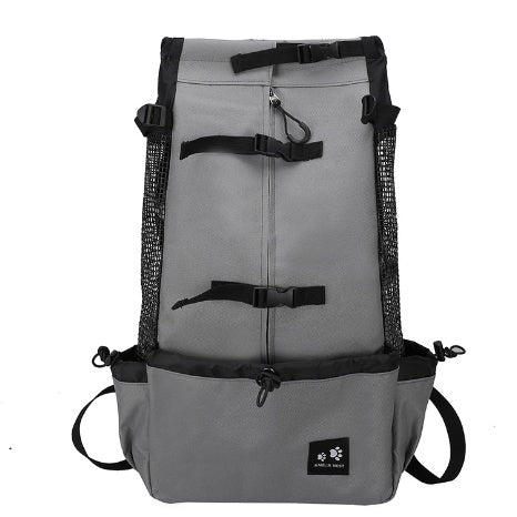 Brilliant Dog Backpack For Every Outing - Best Pet Parcel