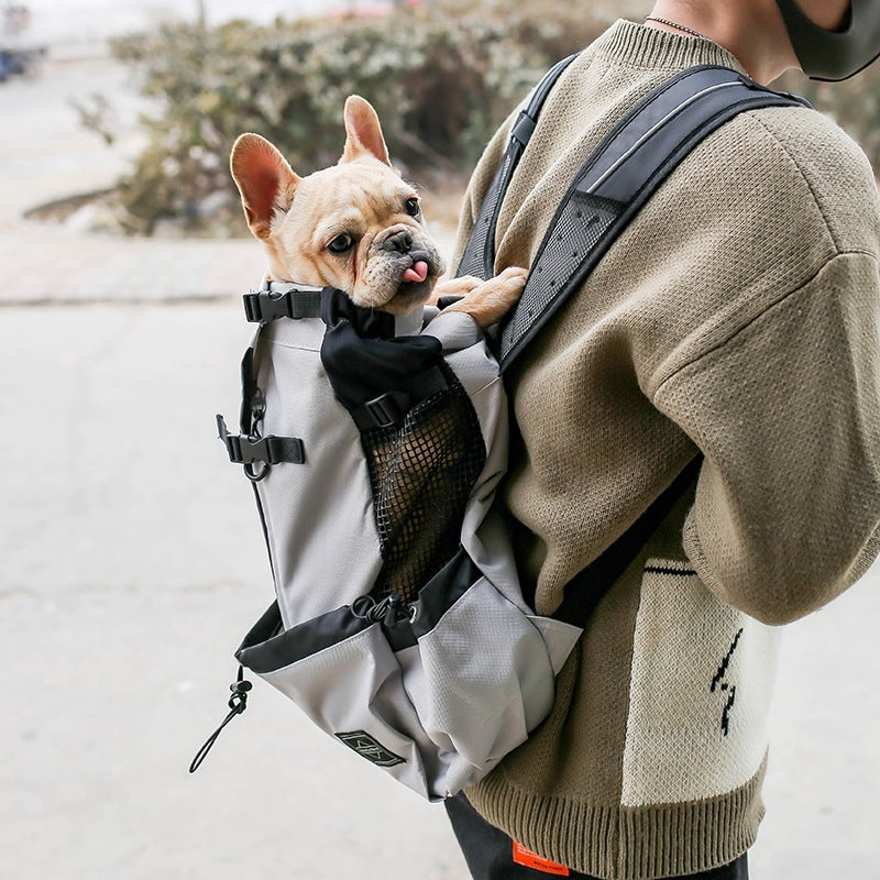 Brilliant Dog Backpack For Every Outing - Best Pet Parcel