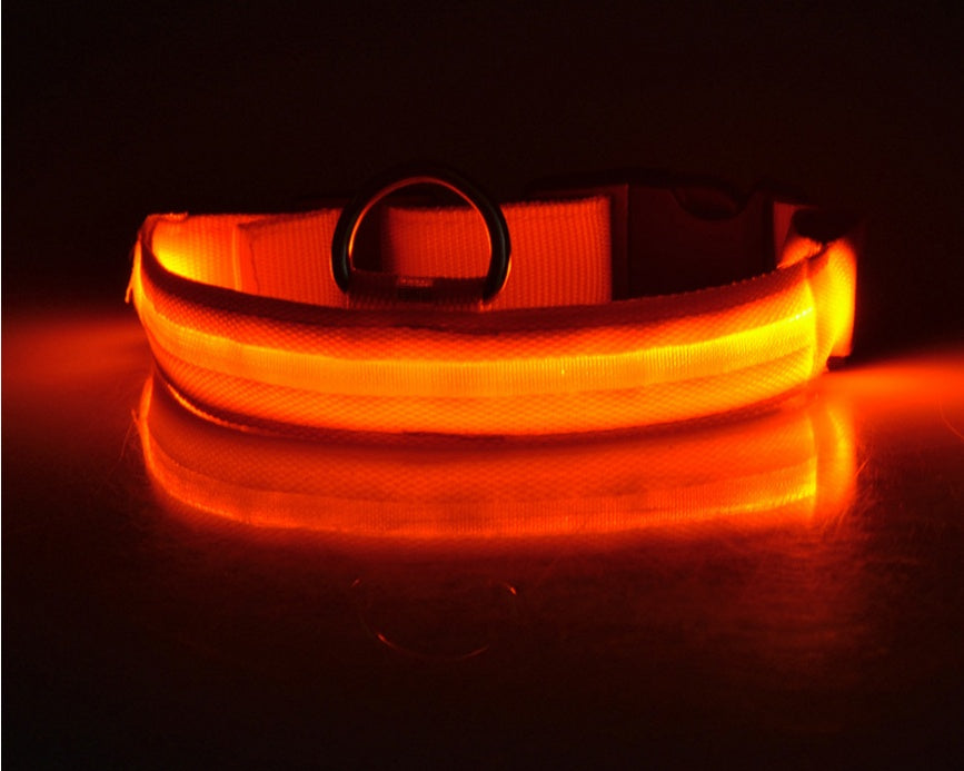 Fantastic Adjustable Dog Collar With Built-In LED For Extra Safety - Best Pet Parcel