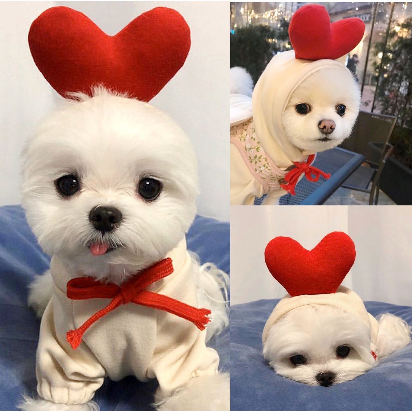 Cute Winter Fleece Pet Hoodies - Best Pet Parcel