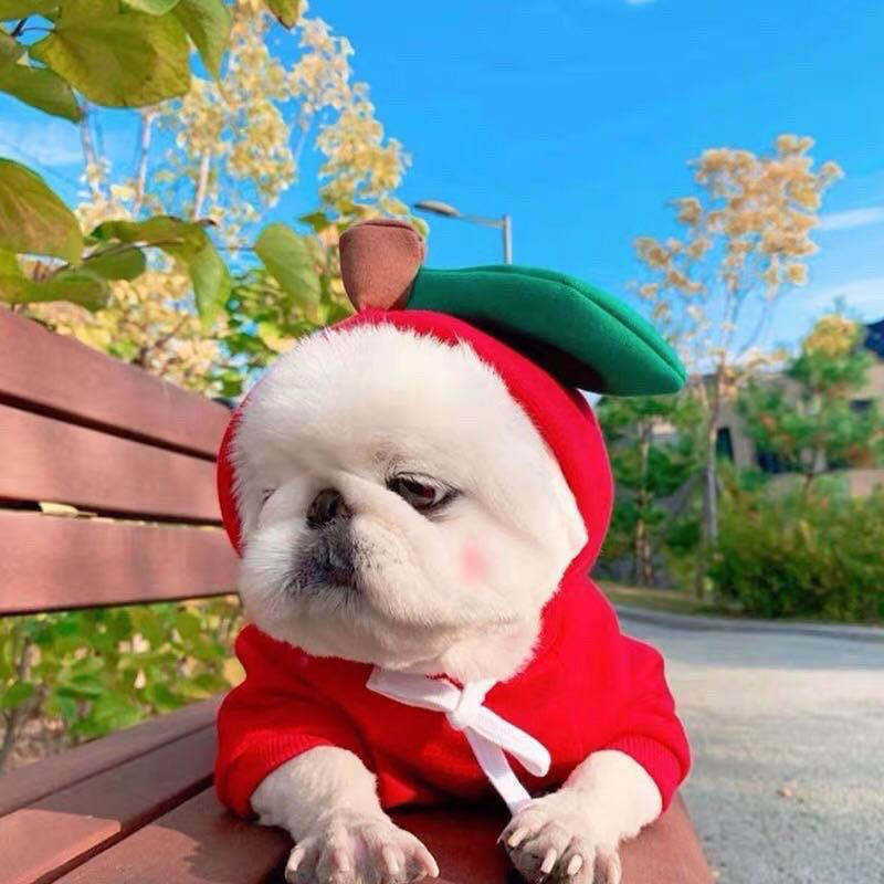 Cute Winter Fleece Pet Hoodies - Best Pet Parcel