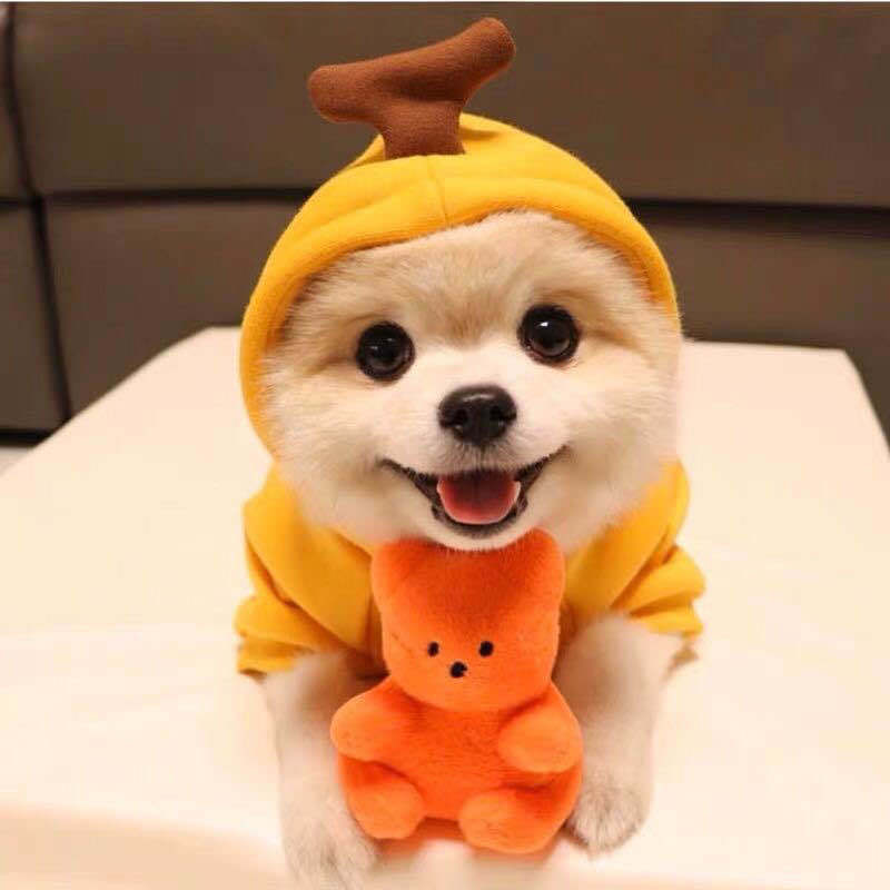 Cute Winter Fleece Pet Hoodies - Best Pet Parcel