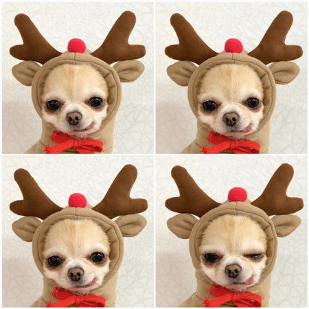 Cute Winter Fleece Pet Hoodies - Best Pet Parcel
