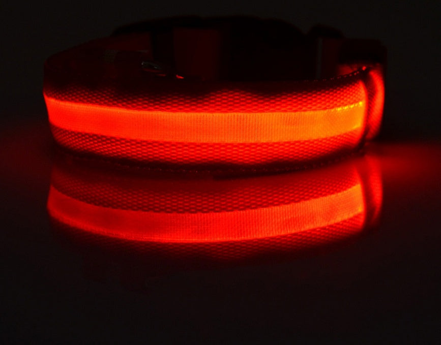 Fantastic Adjustable Dog Collar With Built-In LED For Extra Safety - Best Pet Parcel