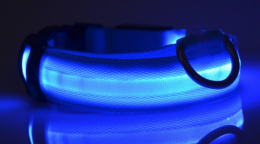 Fantastic Adjustable Dog Collar With Built-In LED For Extra Safety - Best Pet Parcel