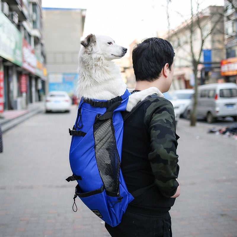 Brilliant Dog Backpack For Every Outing - Best Pet Parcel