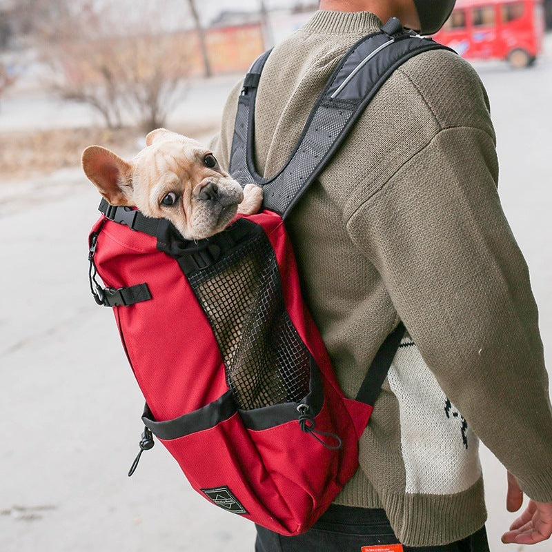 Brilliant Dog Backpack For Every Outing - Best Pet Parcel