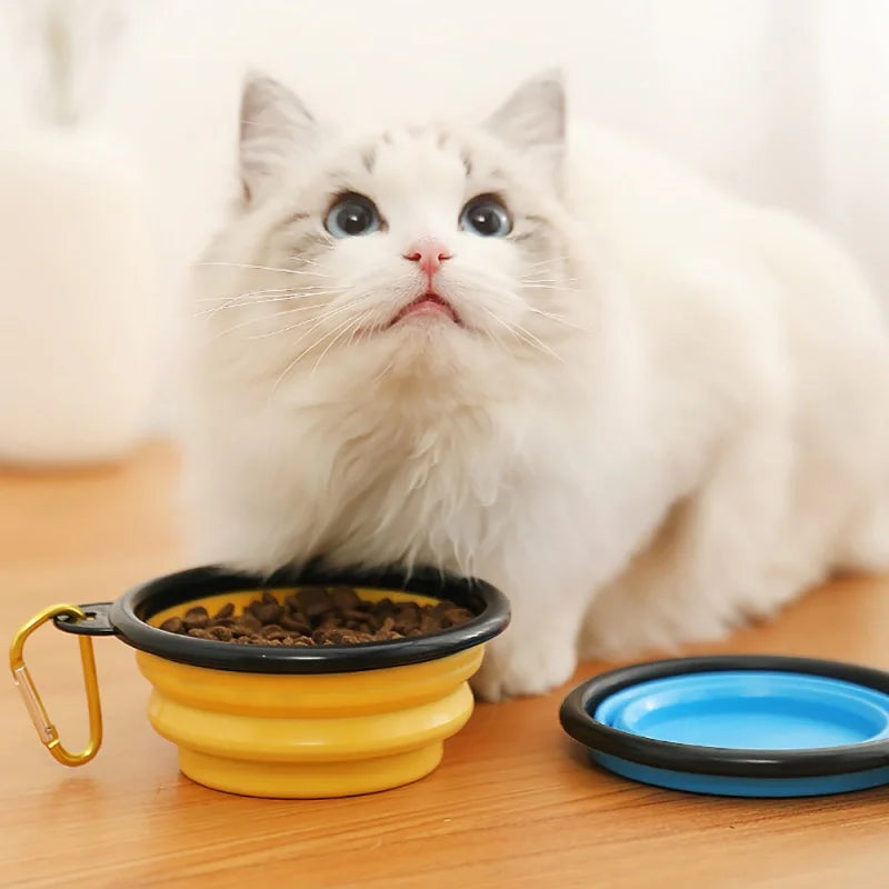 Fantastic 350ml Portable Folding Pet Bowl with Keychain Clip - Best Pet Parcel
