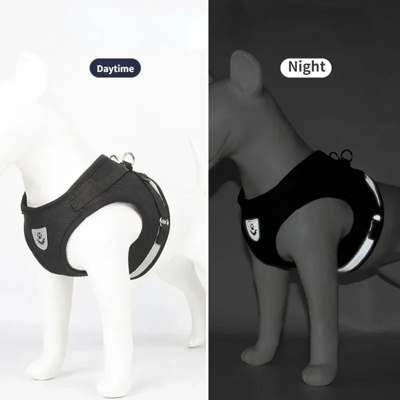 Incredibly Comfortable Dog Harness With Traction Rope - Best Pet Parcel
