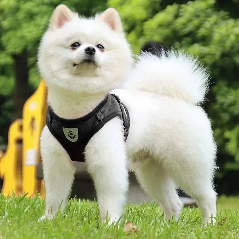 Incredibly Comfortable Dog Harness With Traction Rope - Best Pet Parcel